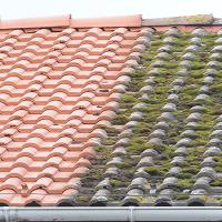 Réalisation travaux de nettoyage toiture 13