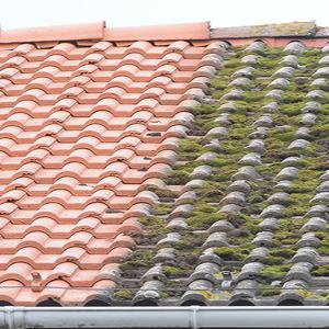 Réalisation travaux de nettoyage toiture 13