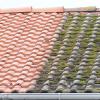 Travaux de nettoyage toiture 13